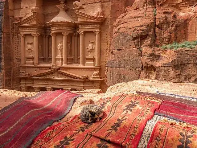 A Cat is Sittinf in Front of the Monumental view of Jordan Historical Place of Petra