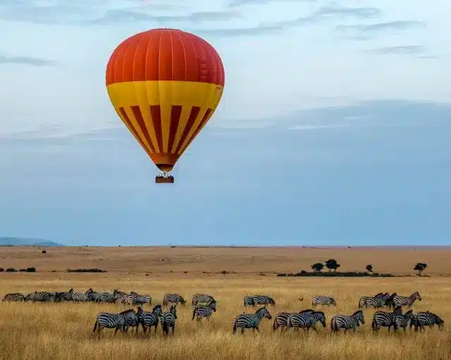 Wild Animals in the Safari of Kenya