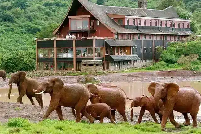 Ol Pejeta Bush Camp, Aberdares