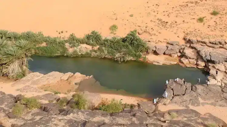 Mauritania's Oases