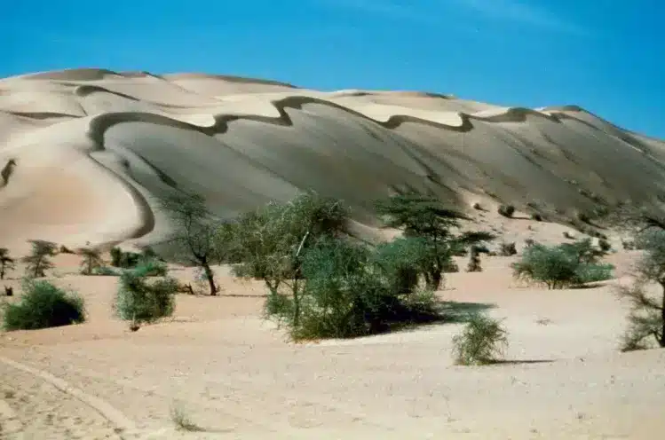 Traverse the Endless Saharan Dunes is One of the Best Things to Do in Mauritania