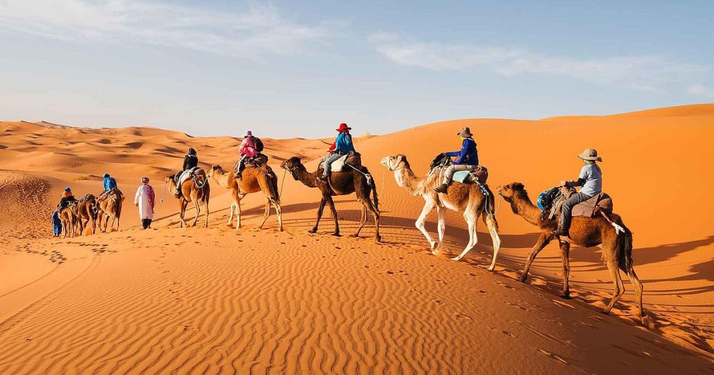Camel Trek in Erg Chebbi Dunes, Morocco