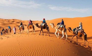 Camel Trek in Erg Chebbi Dunes, Morocco