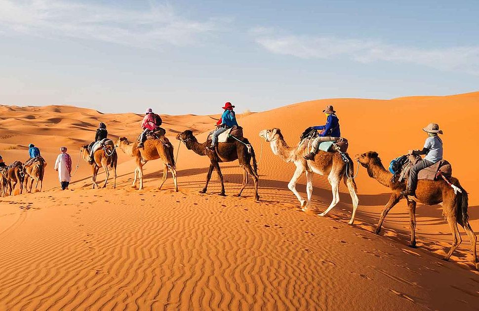 Camel Trek in Erg Chebbi Dunes, Morocco