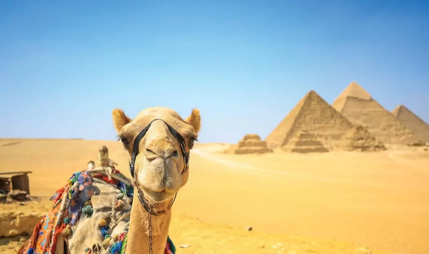 Egypt Itinerary 9 Days