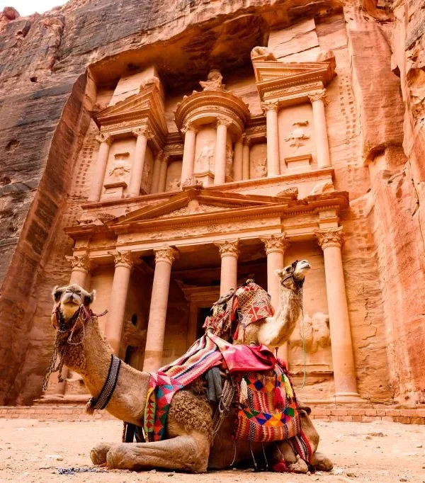 A camel rests at the entrance of Petra's Treasury, showcasing the ancient architecture and desert landscape in Jordan itinerary 7 days