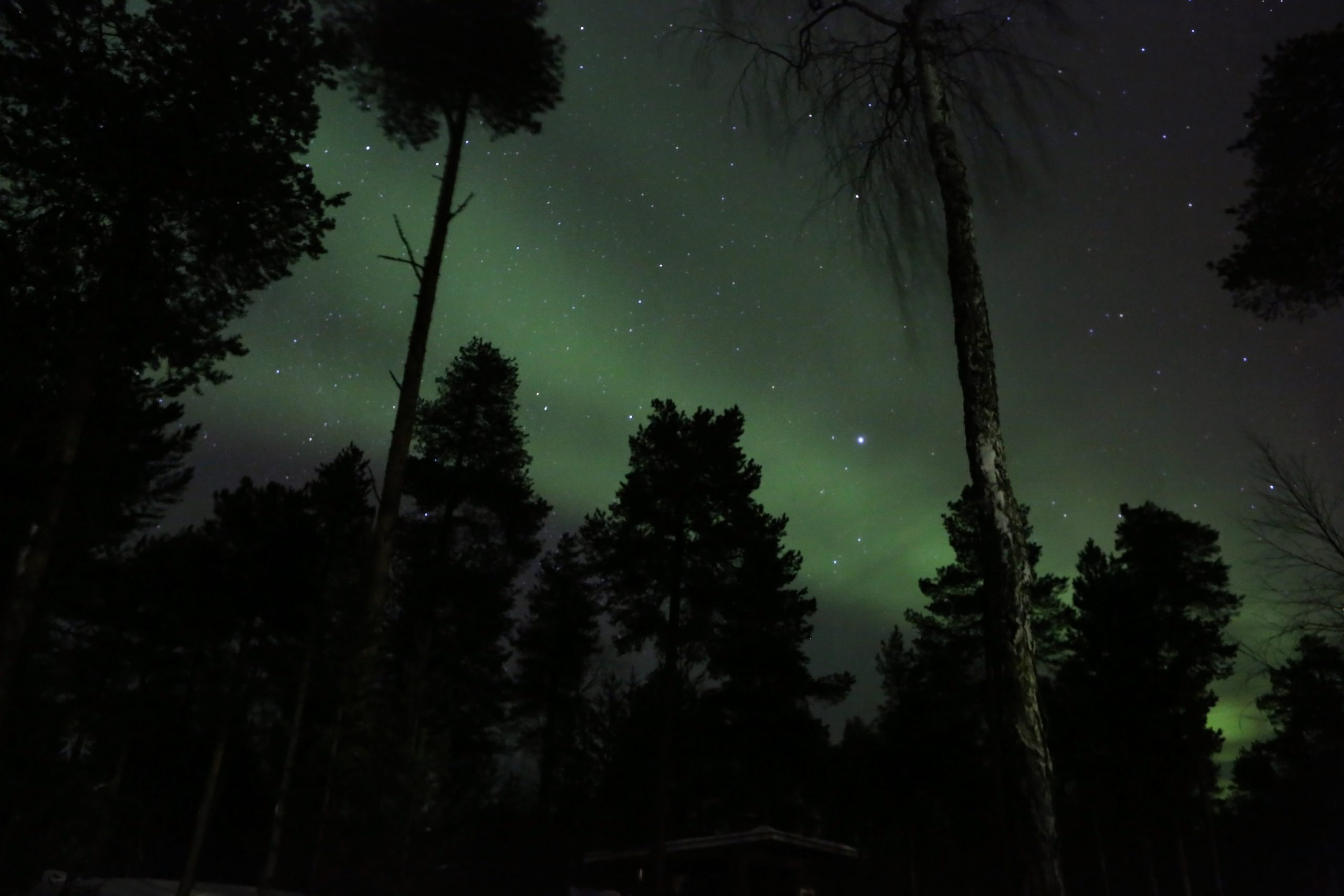 15-Day Luxury Iceland & Finland Tour – Northern Lights & Arctic Experiences 3 Northern Lights over Lake Inari, Finland