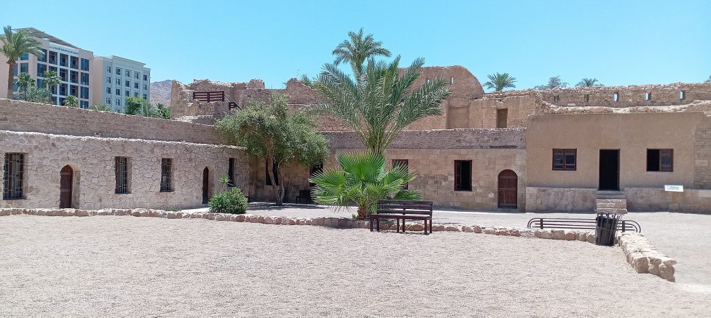 Jordan 10-Day Luxury Private Tour 17 The Mamluk-era Aqaba Fort framed by palm trees, Aqaba, Jordan