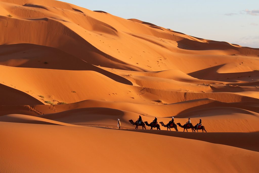 Morocco 15-Day Luxury Private Tour 17 Camel caravan crossing the Erg Chebbi dunes near Merzouga