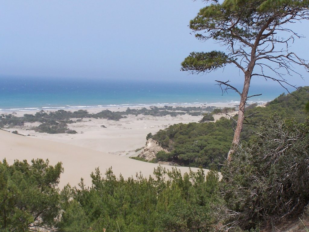 Turkey 14-Day Luxury Private Tour 8 Sand dunes and the long beach of Patara