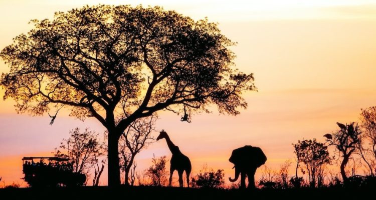 Silhouette of African safari scene with animals and vehicle