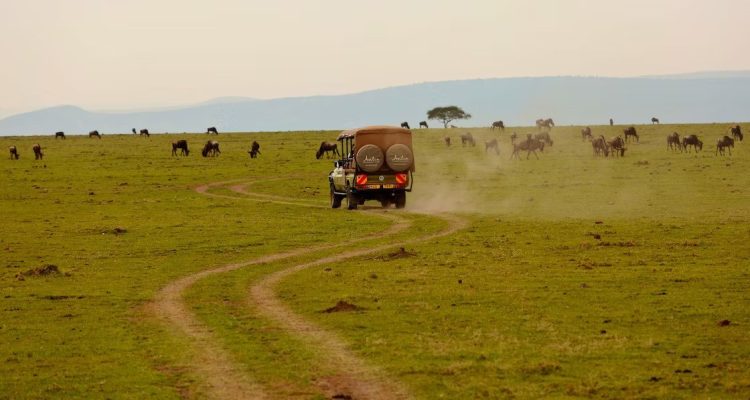Kenya Tours (10)