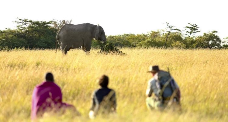 Kenya Tours (11)