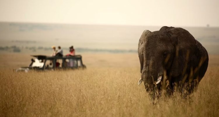 Kenya Tours (12)