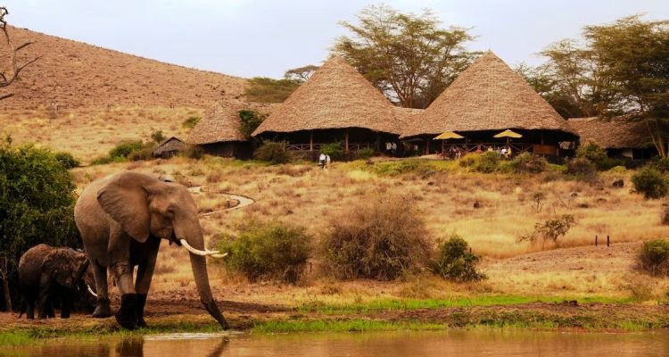 Kenya Tours (13)