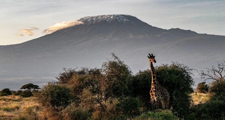 Kenya Tours (20)