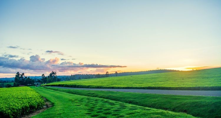 Kenya Tours (29)