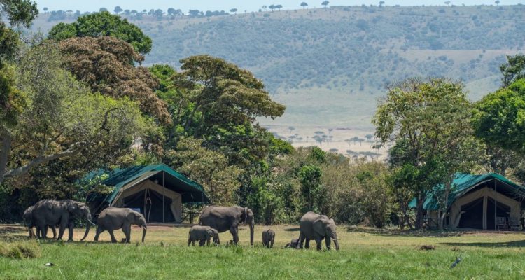 Kenya Tours (30)