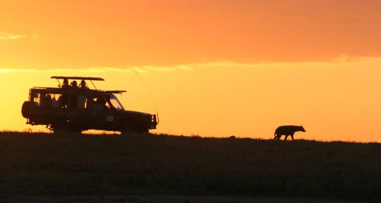 Kenya Tours (40)