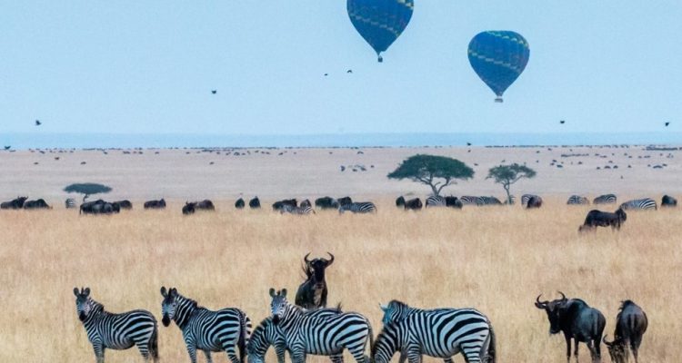 Kenya Tours (42)