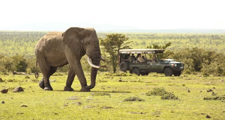 Kenya Tours (5)
