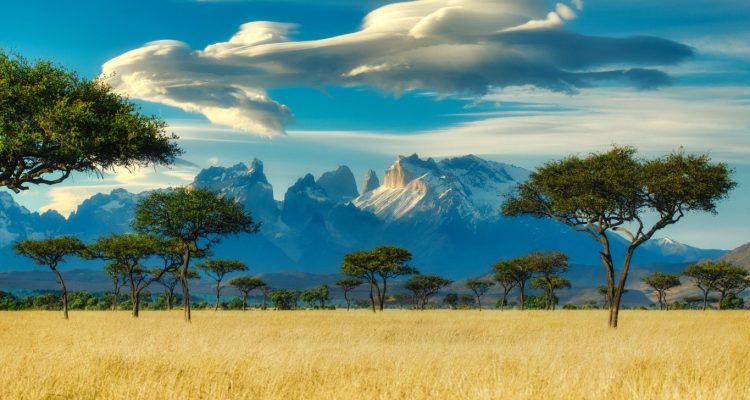 Kenya Tours (51)