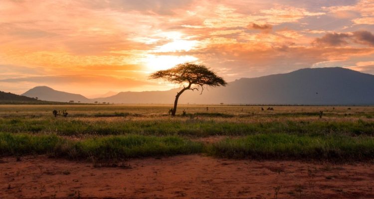 Kenya Tours (52)