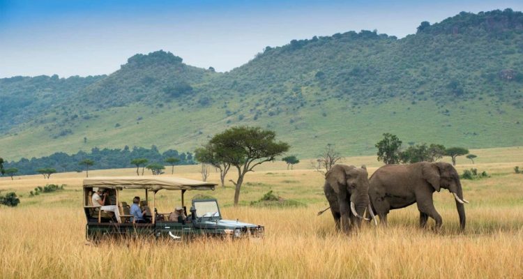 Kenya Luxury Tours