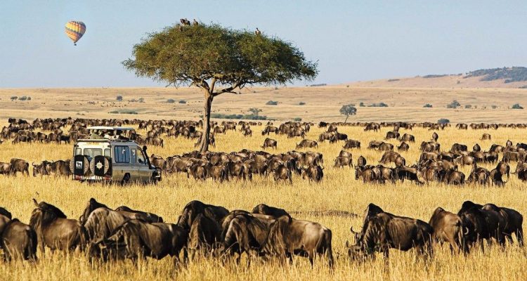 Kenya Tours (67)