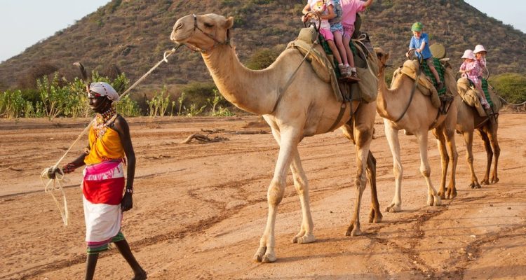 kidsandcamelsafari