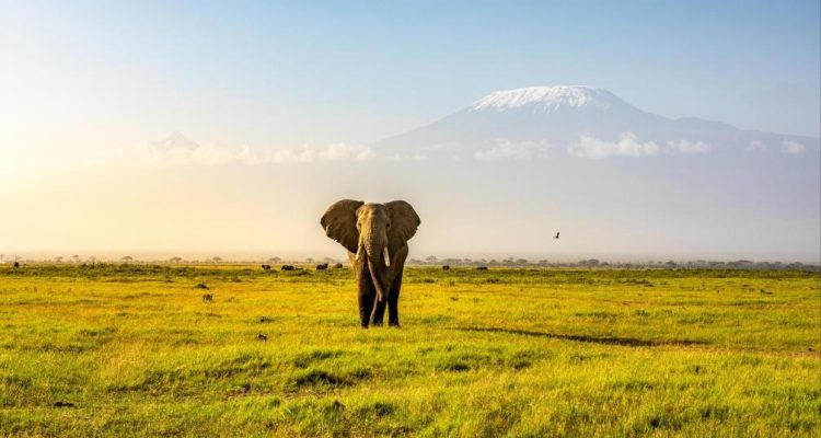 Kenya Tours (79)