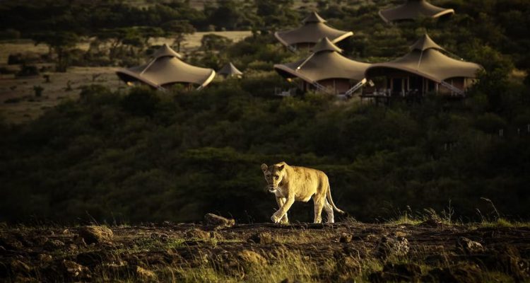 Kenya Tours (9)