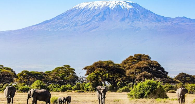 Tanzania Luxury Tours