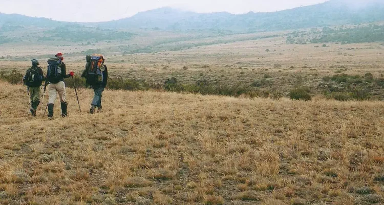 Kilimanjaro Tanzania (2)