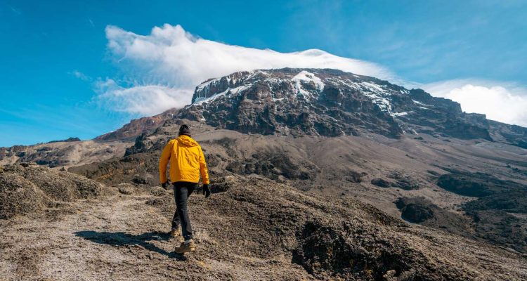 Kilimanjaro Tanzania (3)