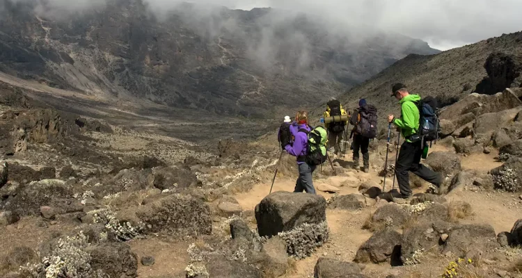 Kilimanjaro Tanzania (3)