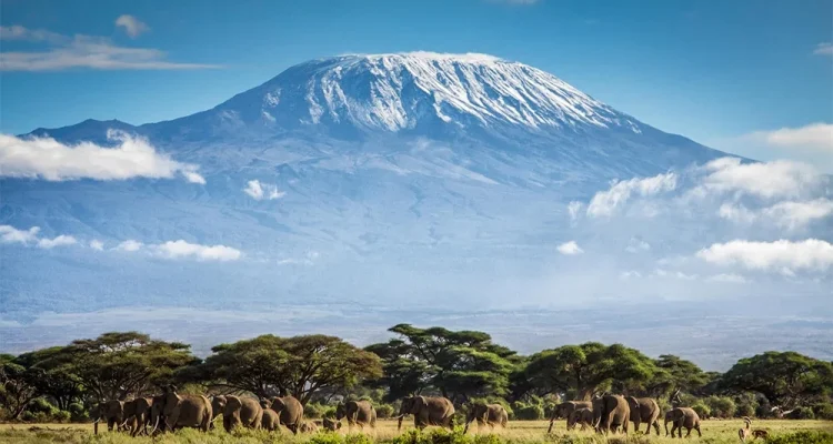 Kilimanjaro Tanzania (4)