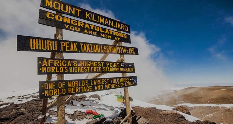 Kilimanjaro Tanzania (5)