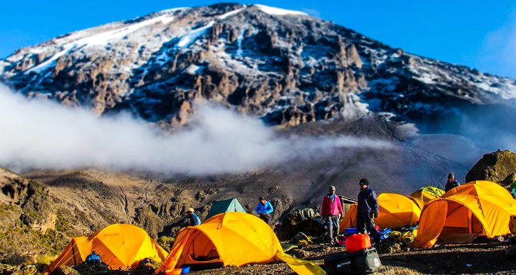 Kilimanjaro Tanzania (5)