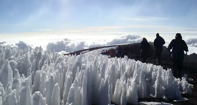 Kilimanjaro Tanzania (7)