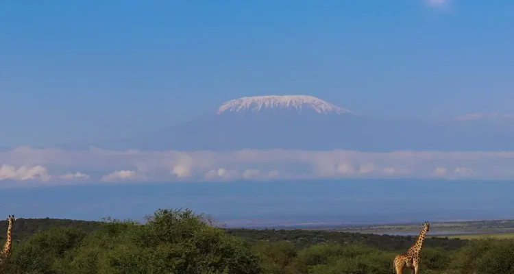 Kilimanjaro Tanzania (8)