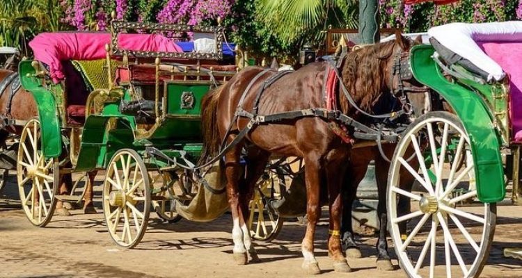 Marrakech_morocco (5)