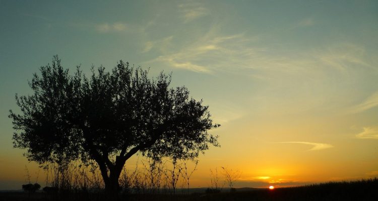 Portugal Itinerary 8 Days (10)