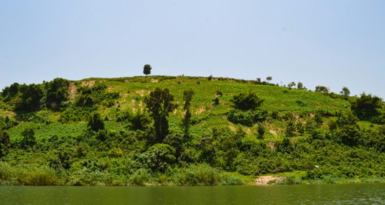 Rwanda Tours​ (12).bak