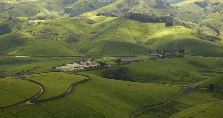Rwanda Tours​ (3)
