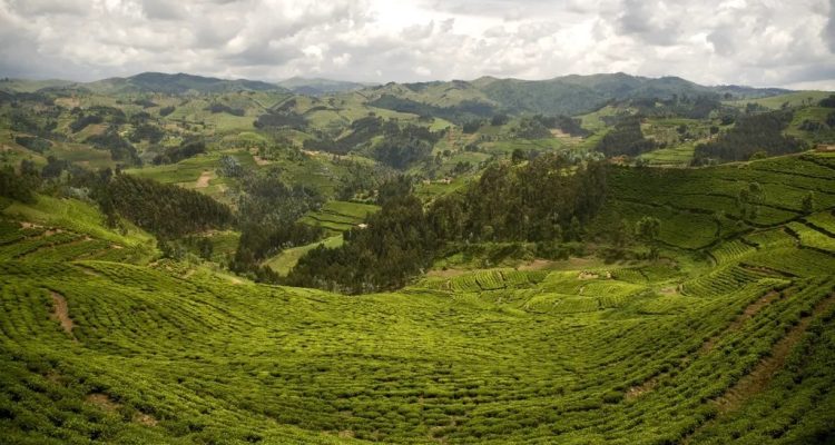 Rwanda Tours​ (5)