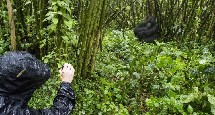 Rwanda Tours​ (7)