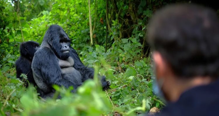 Rwanda Tours​ (9)
