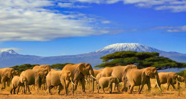 Tanzania-e1555938157355-2501x1406