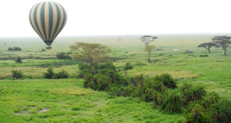 Tanzania tours (17)